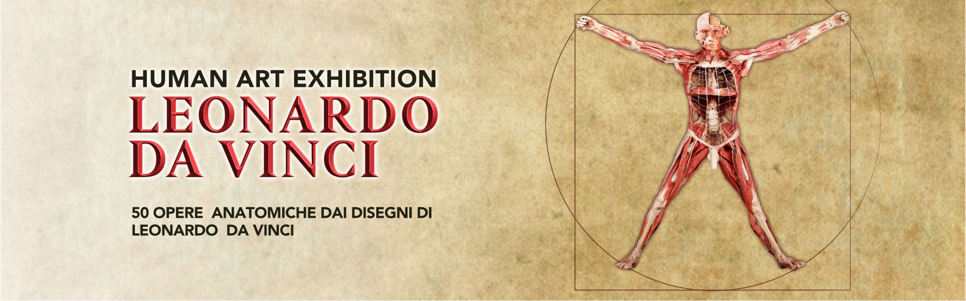 Leonardo da Vinci | Human Art Exhibition | Palazzo Zaguri | Venezia